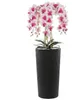 Künstliche Orchidee Cremerosa Kaskaden Blumenstrauß im Topf Produktbild-Vorschau 1