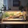 A terrarium with plants and rocks, illuminated by a lamp with a thermostat. Anteprima dell’immagine prodotto