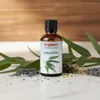 Olio per sauna HolzHacker Eucalipto 60 ml Anteprima dell’immagine prodotto 2