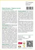 SAFLAX - Palma Konopna - 10 Nasiona - Chamaerops excelsa Podgląd zdjęcia produktu 3