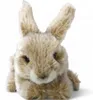 Carl Dick coniglio seduto beige, circa 17 cm 2755001 Anteprima dell’immagine prodotto 2