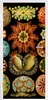 MuchoWow® Plakát na dveře - Vintage - Ernst Haeckel - Náhled obrázku produktu 1