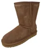 OOG  Damenschuhe Stiefel Gefüttert Braun Freizeit, Produktbild-Vorschau 14