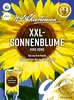 XXL - Sonnenblume King Kong | Sonnenblumensamen von N.L. Produktbild-Vorschau 1