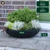 VIVANNO Coupe décorative en fibre de verre PLANA Coupe, Voir les images du produit 3