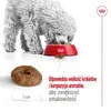 Royal Canin Mini Ageing 12+, Adult, Klein (5-10 kg), Mini Produktbild-Vorschau 5