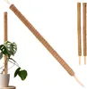 ​Erweiterbare Rankhilfe Kokosstab 110 cm mit Kokosfilz für Produktbild-Vorschau 1