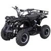 Actionbikes Motors Elektro Kinderquad Torino | 1000 Watt - Produktbild-Vorschau 1