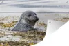 MuchoWow® Produktbild-Vorschau 1