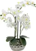 Kunst-Pflanze Orchidee ovaler Topf silber hochglanz und Produktbild-Vorschau 1