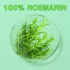 Rosmarinöl Ätherisches Öl gesunde Kopfhaut Haarwachstum Produktbild-Vorschau 12