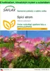 SAFLAX Garden to go - spící strom - Albizia julibrissin - Náhled obrázku produktu 1
