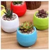 Lot de 7 pots de fleurs avec drainage 0,55 L pour cactus, Voir les images du produit 5