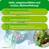 Fertilizzante idroponico Purgrün 1 litro Anteprima dell’immagine prodotto 3