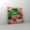 Bilder auf glas - Aroma Kaffee Pflanze Samen - 70x70cm - Produktbild-Vorschau 4