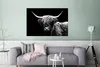 MuchoWow® Poster Schottischer Highlander - Kuh - Schwarz - Produktbild-Vorschau 5