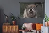MuchoWow® Wandteppich Wandbehang Wolf - Maul - Zähne Produktbild-Vorschau 5