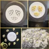 MY PASTA - Pszczółka / makaron z motywem / wkładka do zupy Podgląd zdjęcia produktu 3