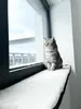 Fensterbankauflage für Katzen 90 x 25 cm Katzenbett Produktbild-Vorschau 1