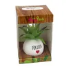 Künstliche Pflanze klein mit Motiv "Für Dich" - ca. 8 cm Produktbild-Vorschau 2