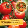 Solabiol® Grundstoff Lecithin für 21 Liter Spritzbrühe - Produktbild-Vorschau 8