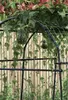 Metalowa Pergola Ogrodowa Solidne Wsparcie Dla Roślin Podgląd zdjęcia produktu 7
