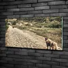 Tulup® Glas-Bild - 100x50 -Wandkunst - Wandbild hinter Produktbild-Vorschau 2