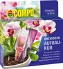 Artikelbild 1 von 'Orchideen-Aufbaukur (5 Stück)' aus der Kategorie Blumenpflege Produktbild-Vorschau