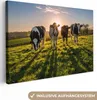 MuchoWow® - Leinwandbilder - Kühe - Sonne - Gras - Tiere - Produktbild-Vorschau 1