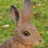 Dekofigur Gartenfigur Hase 10 x 14 x 27 cm Produktbild-Vorschau 5