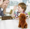A father and son are playing with a stuffed Highland cow toy. Produktbild-Vorschau