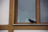 ISO-Tauben- und Vogelabwehrgerät „Rabe“ Produktbild-Vorschau 18