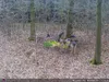 Outdoor Wildlife Hunting Trail und Wildkamera OXE Spider Produktbild-Vorschau 34