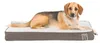 Cuscino Trixie Vital Best of all Breeds, 100 x 70 cm, Anteprima dell’immagine prodotto 7