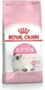 Royal Canin FHN Kitten Trockenfutter 4 kg Produktbild-Vorschau 10