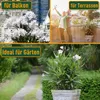 A collage of images showing an Oleander plant in different settings: on a balcony with a city skyline, on a terrace with a couple, and in a garden path. Náhľad obrázku produktu