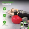 Tunturi Anti Burst Fitness Ball avec Pompe - Ballon de yoga Voir les images du produit 7