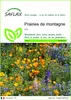 SAFLAX  - Prairies de montagne - 1000 graines - Mix Voir les images du produit 1