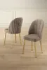 Skye Decor, Mara - Cappuccino, Oro, Set di sedie (2 pezzi), Anteprima dell’immagine prodotto 1