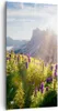 Bild auf Leinwand - Leinwandbild - Berge Wiese Blumen - Produktbild-Vorschau 1