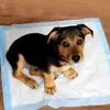 Trainingsunterlagen für Hunde und Welpen, 100er Hygienisch Produktbild-Vorschau 14