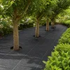 Onkruiddoek 100 x 500 cm, set van 4 stuks (20 m²) – geweven Productafbeelding-voorbeeld 4