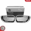 ESEN SKV 66SKV079 Kühlergrill Frontgrill für BMW 3 Produktbild-Vorschau 1
