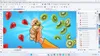 CorelDRAW Graphics Suite 2026 / 1 Gerät / Win/MAC / Produktbild-Vorschau 3