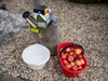 Zerkleinerer Strend Pro EFC-2, für Obst, Äpfel, 550 W, 1 Produktbild-Vorschau 2