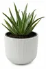 Prosperplast Blumentopf Übertopf Milly herausnehmbar Produktbild-Vorschau 1