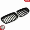 ESEN SKV 66SKV177 Kühlergrill Frontgrill für BMW 5 GT (F07) Produktbild-Vorschau 2