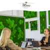Moosbild Fifty Fifty Design (110x55, weiß) Produktbild-Vorschau 9