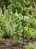 Support pour plantes vivaces en métal 70 cm (x1) - Support Voir les images du produit 7