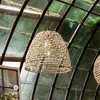 A woven pendant light hangs from the ceiling of a greenhouse. Náhled obrázku produktu